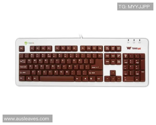 深入分析WE战队进攻策略的得失与未来改进方向 深入分析WE战队进攻策略的得失与未来改进方向