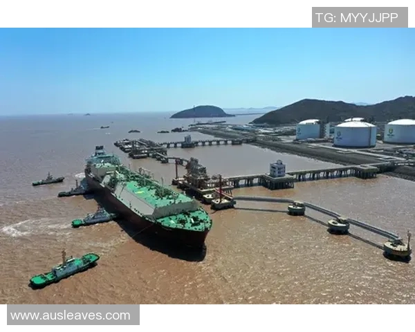 专访周娜揭秘英雄联盟成功秘诀与未来发展趋势