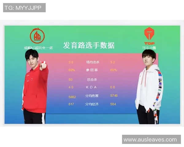 王者荣耀战术TES进攻体系解析与实战应用探讨