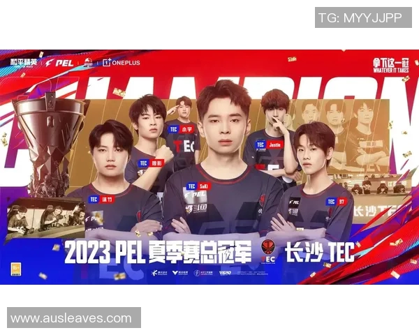 电竞数据电竞比分聚焦和平精英V5团队配合策略与战术分析